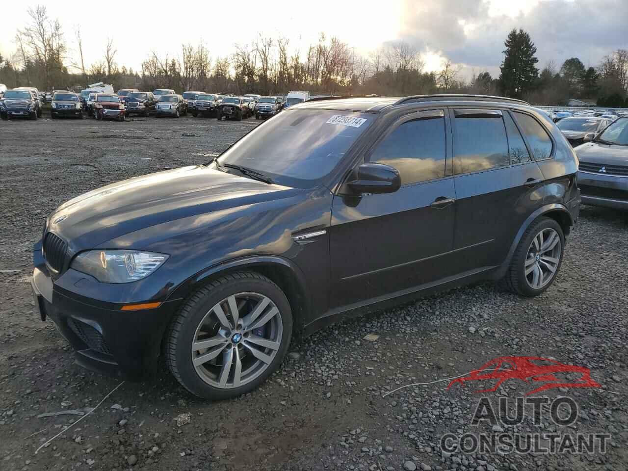 BMW X5 2013 - 5YMGY0C52D0C11599