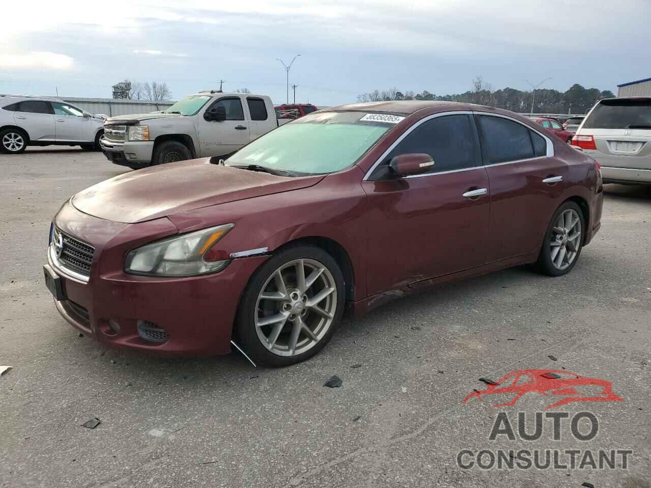 NISSAN MAXIMA 2011 - 1N4AA5AP6BC830659