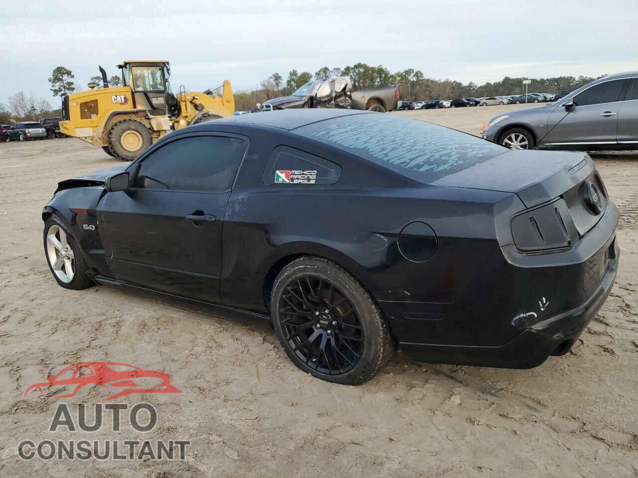 FORD MUSTANG 2011 - 1ZVBP8CF7B5153576