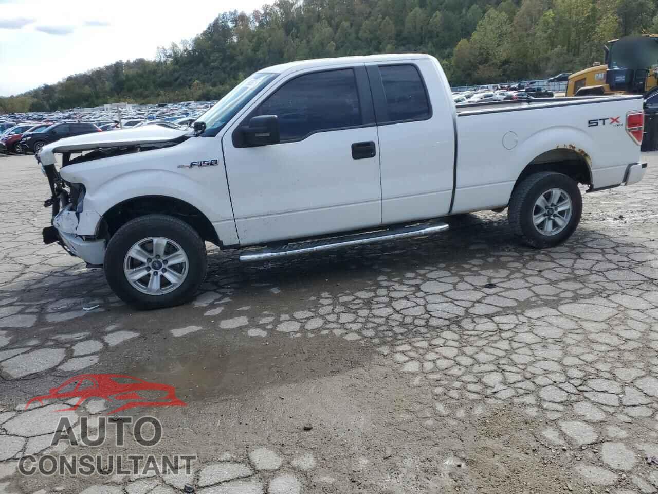 FORD F-150 2013 - 1FTFX1EF9DFD25032