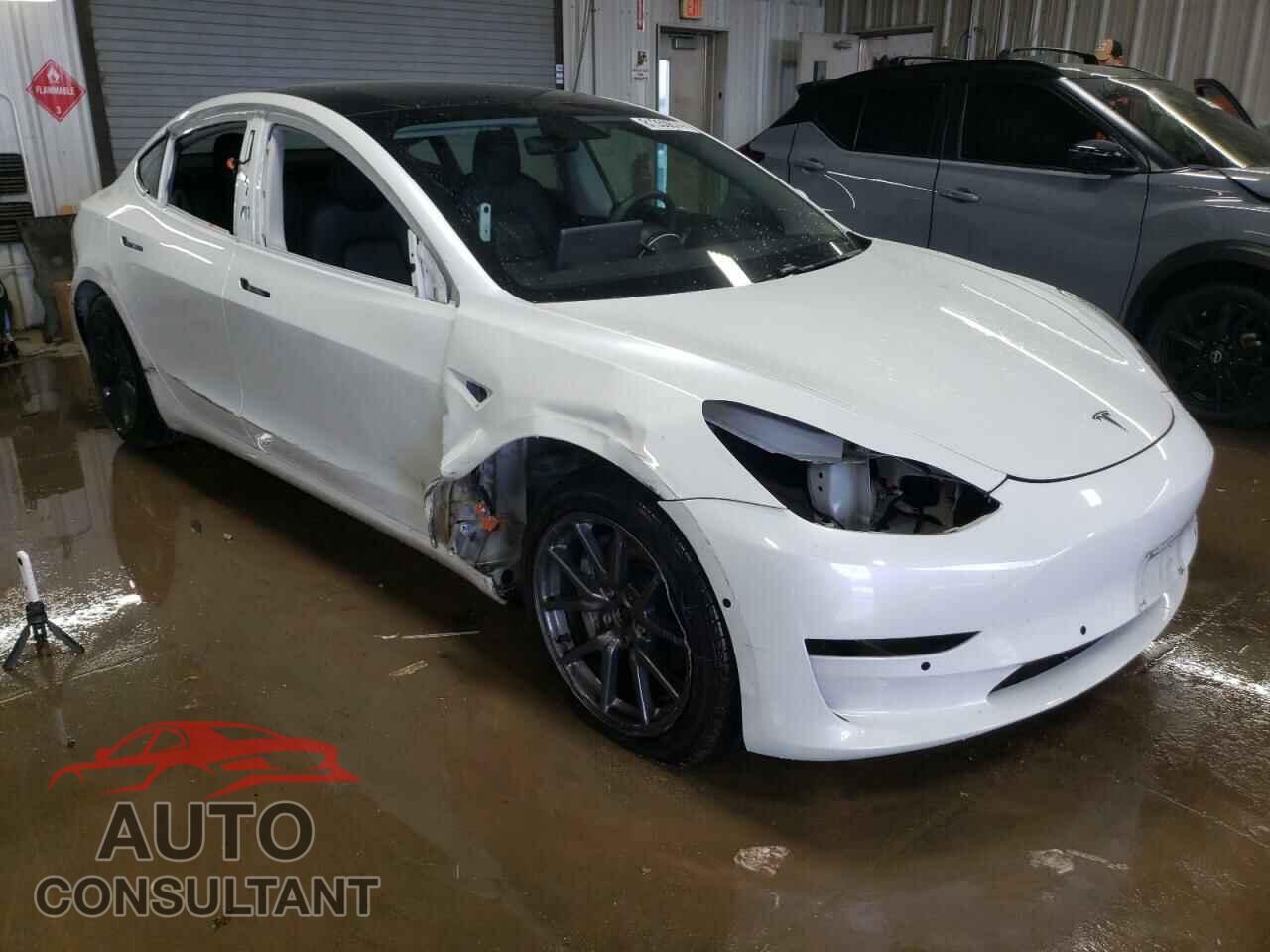 TESLA MODEL 3 2019 - 5YJ3E1EB3KF494082