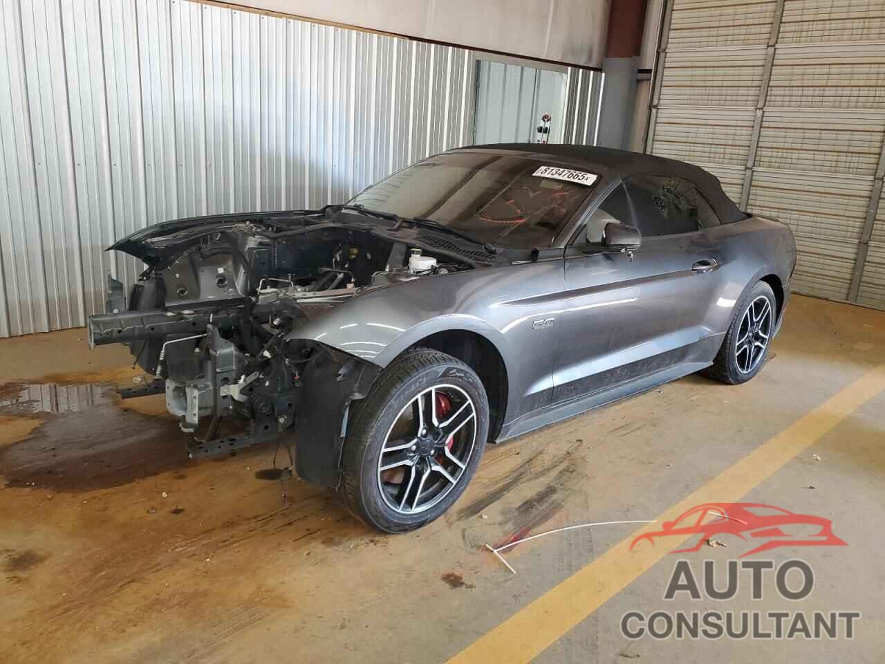 FORD MUSTANG 2019 - 1FATP8FF3K5151087