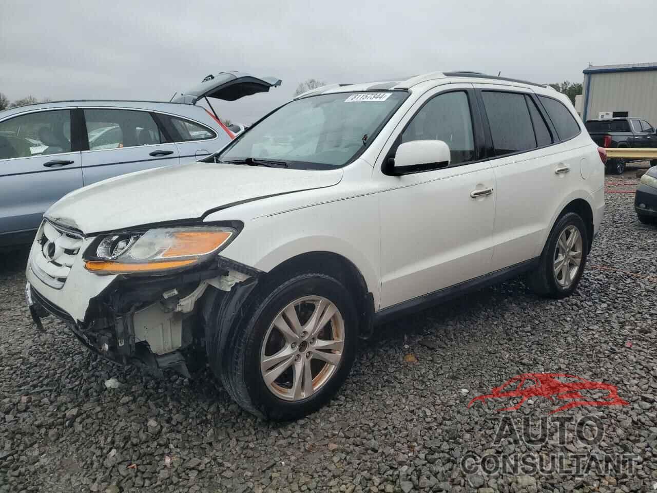 HYUNDAI SANTA FE 2010 - 5NMSK4AG9AH373450