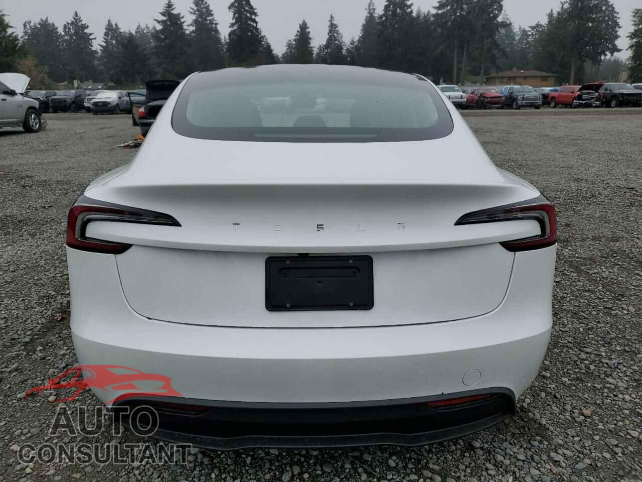 TESLA MODEL 3 2024 - 5YJ3E1EA3RF729064