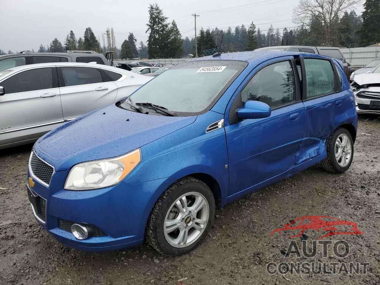 CHEVROLET AVEO 2009 - KL1TG66E19B308530