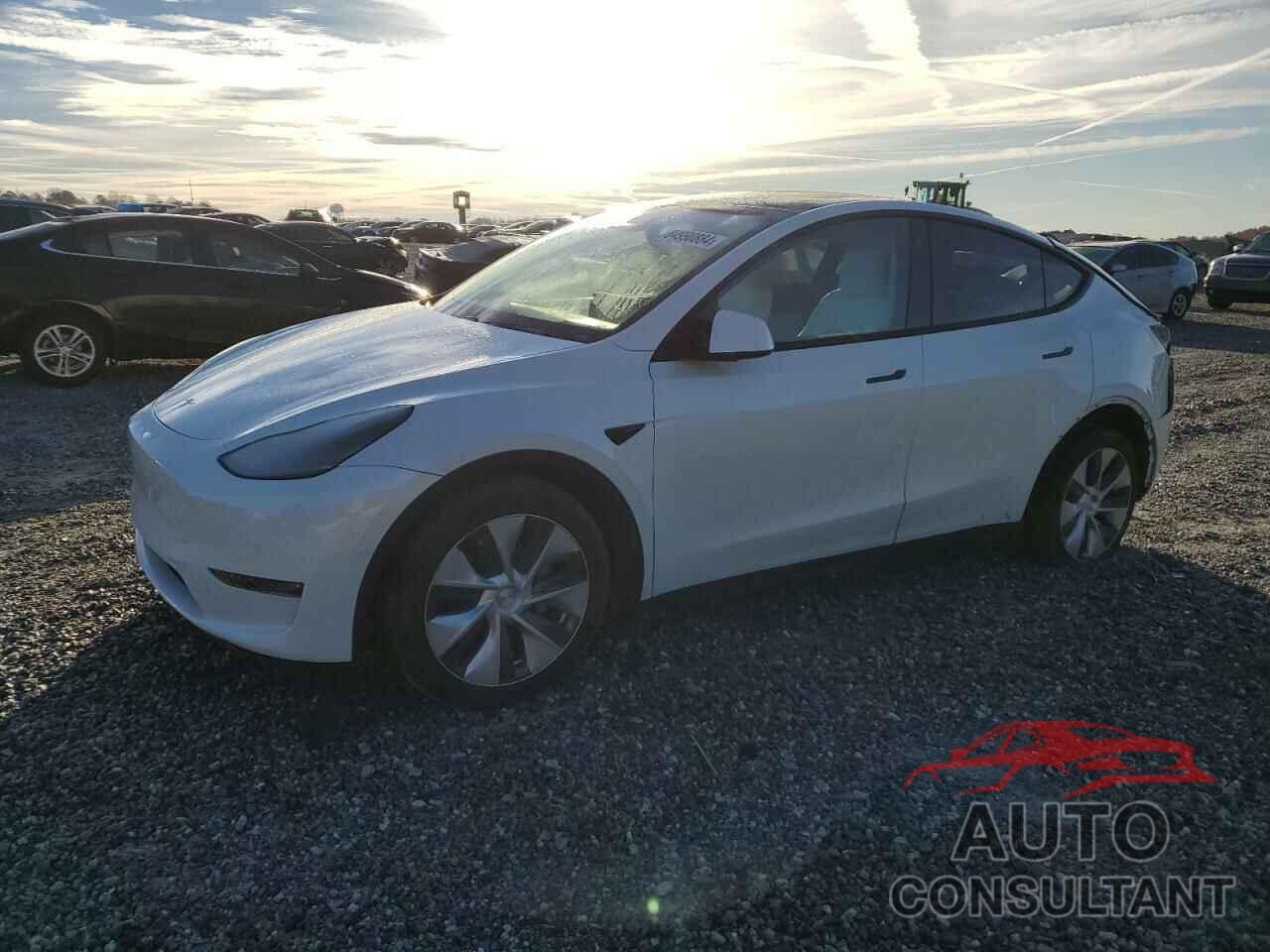 TESLA MODEL Y 2021 - 5YJYGDEE6MF081281