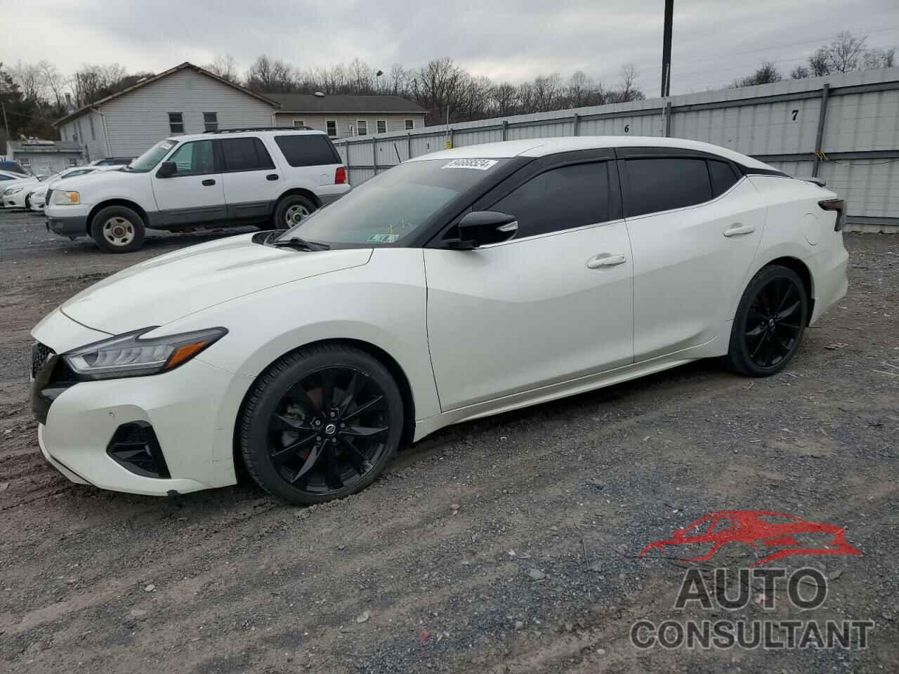NISSAN MAXIMA 2019 - 1N4AA6AVXKC384567