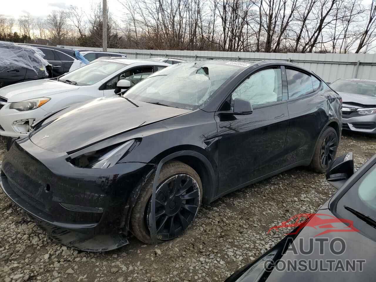TESLA MODEL Y 2023 - 7SAYGDEE4PF637868