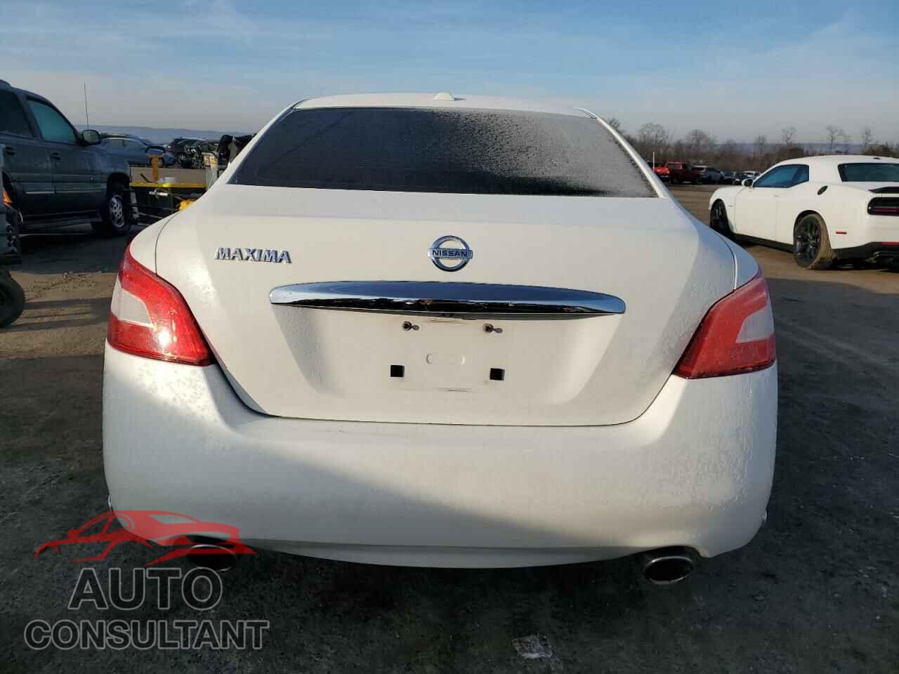 NISSAN MAXIMA 2011 - 1N4AA5AP1BC821111