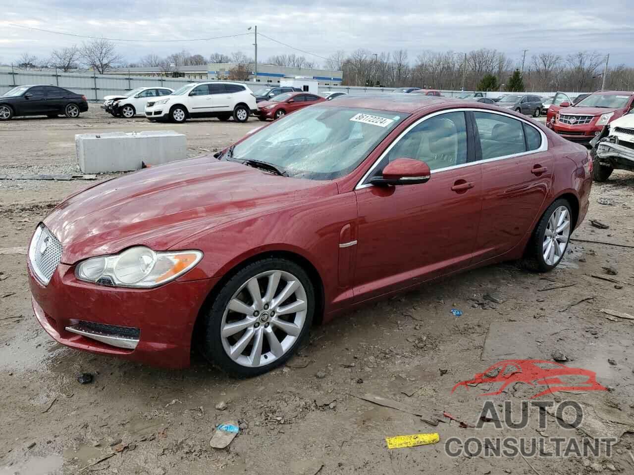 JAGUAR XF 2011 - SAJWA0GB4BLR88465