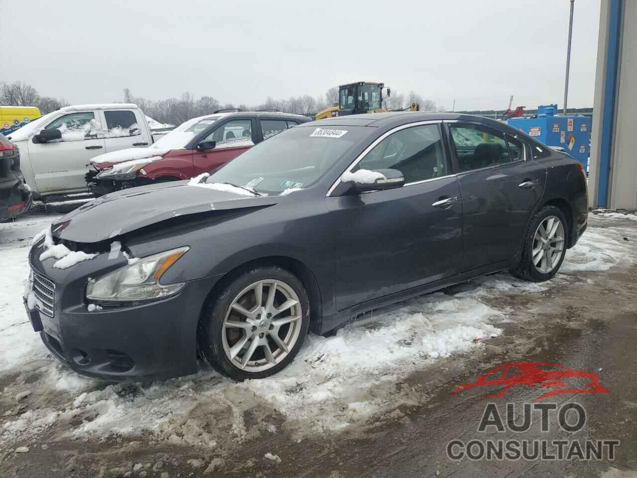 NISSAN MAXIMA 2009 - 1N4AA51E79C830551