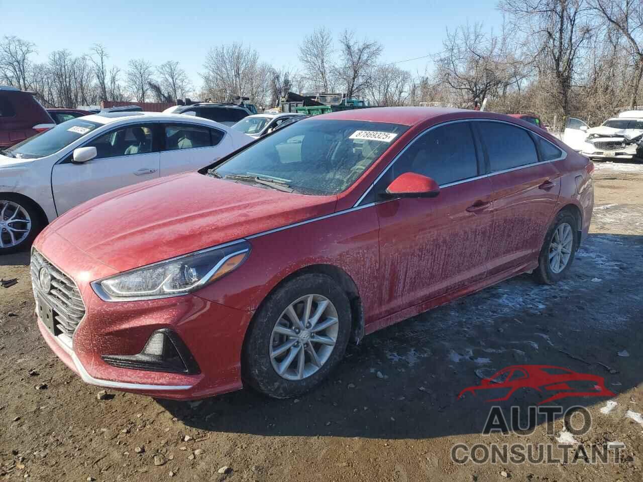 HYUNDAI SONATA 2019 - 5NPE24AFXKH798412