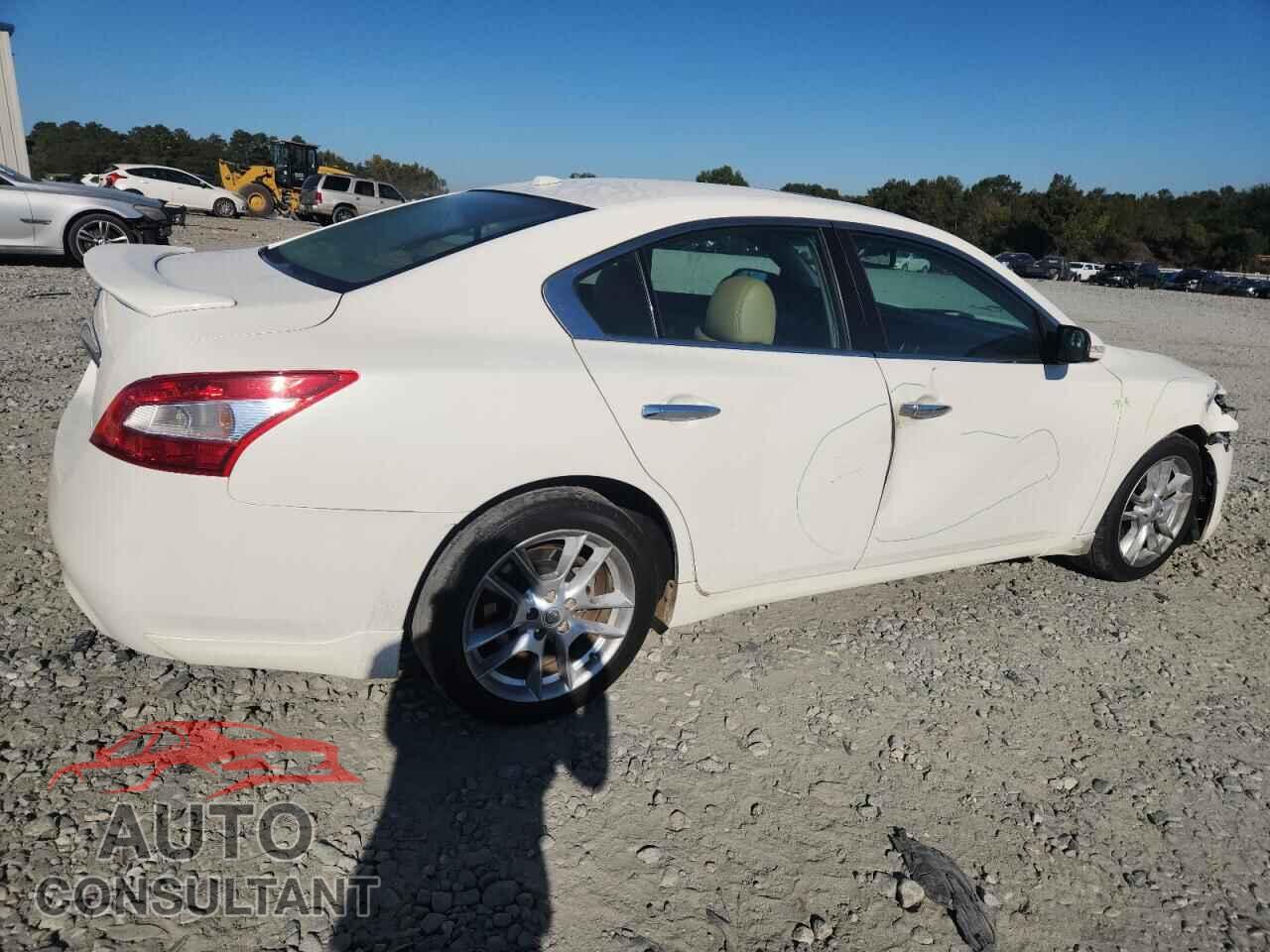 NISSAN MAXIMA 2011 - 1N4AA5AP8BC825320