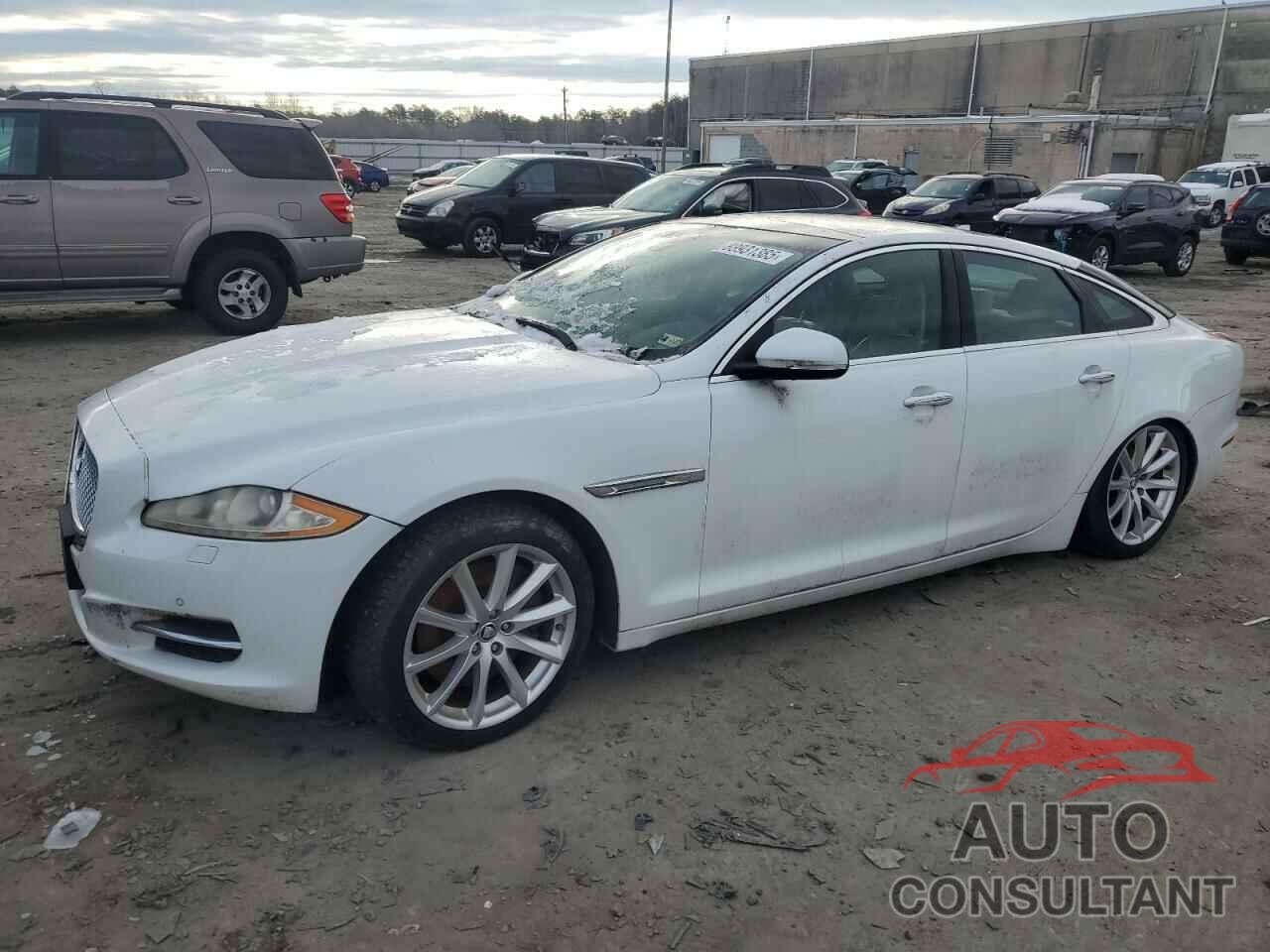 JAGUAR XJ 2013 - SAJWJ1CD1D8V51784