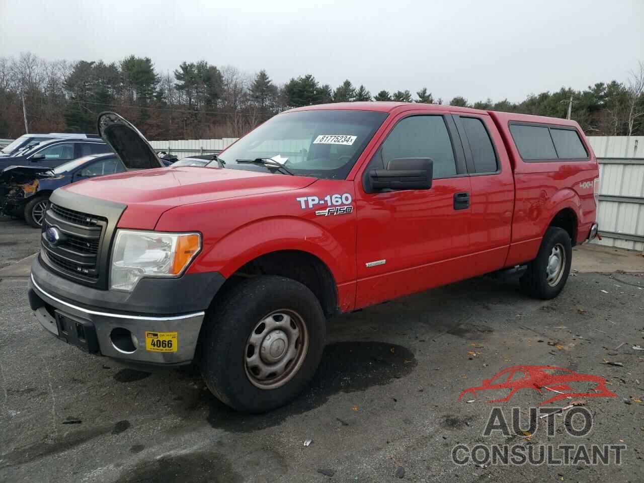 FORD F-150 2013 - 1FTFX1ET0DKE88830