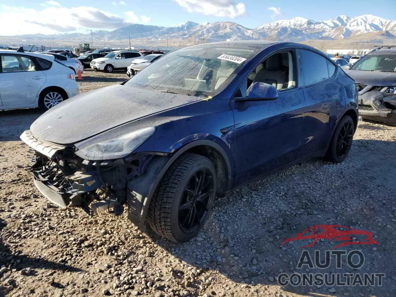 TESLA MODEL Y 2021 - 5YJYGDEE6MF188606