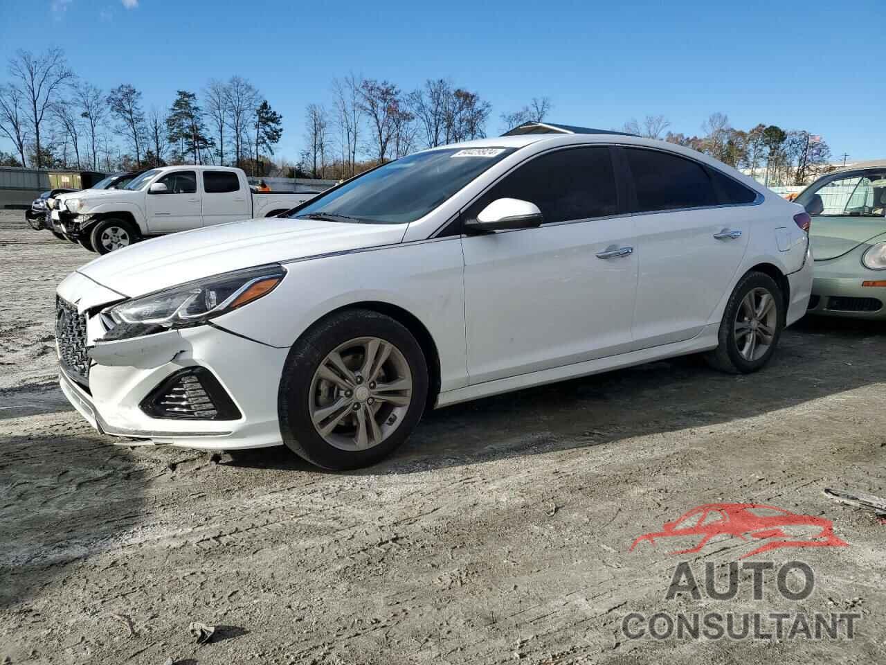 HYUNDAI SONATA 2019 - 5NPE34AF6KH763573