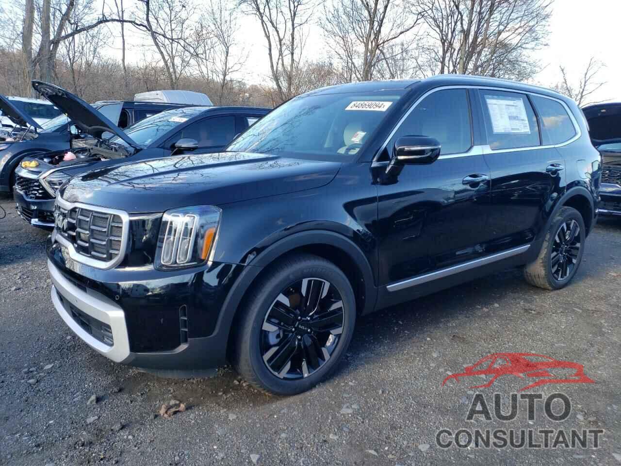 KIA TELLURIDE 2024 - 5XYP5DGCXRG556511