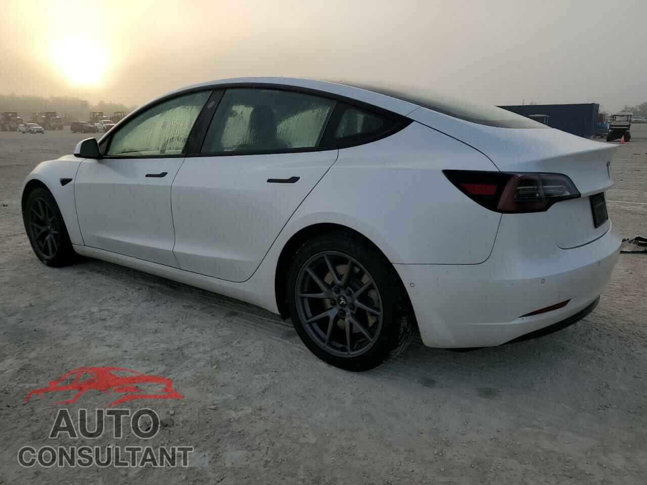TESLA MODEL 3 2021 - 5YJ3E1EA7MF855081