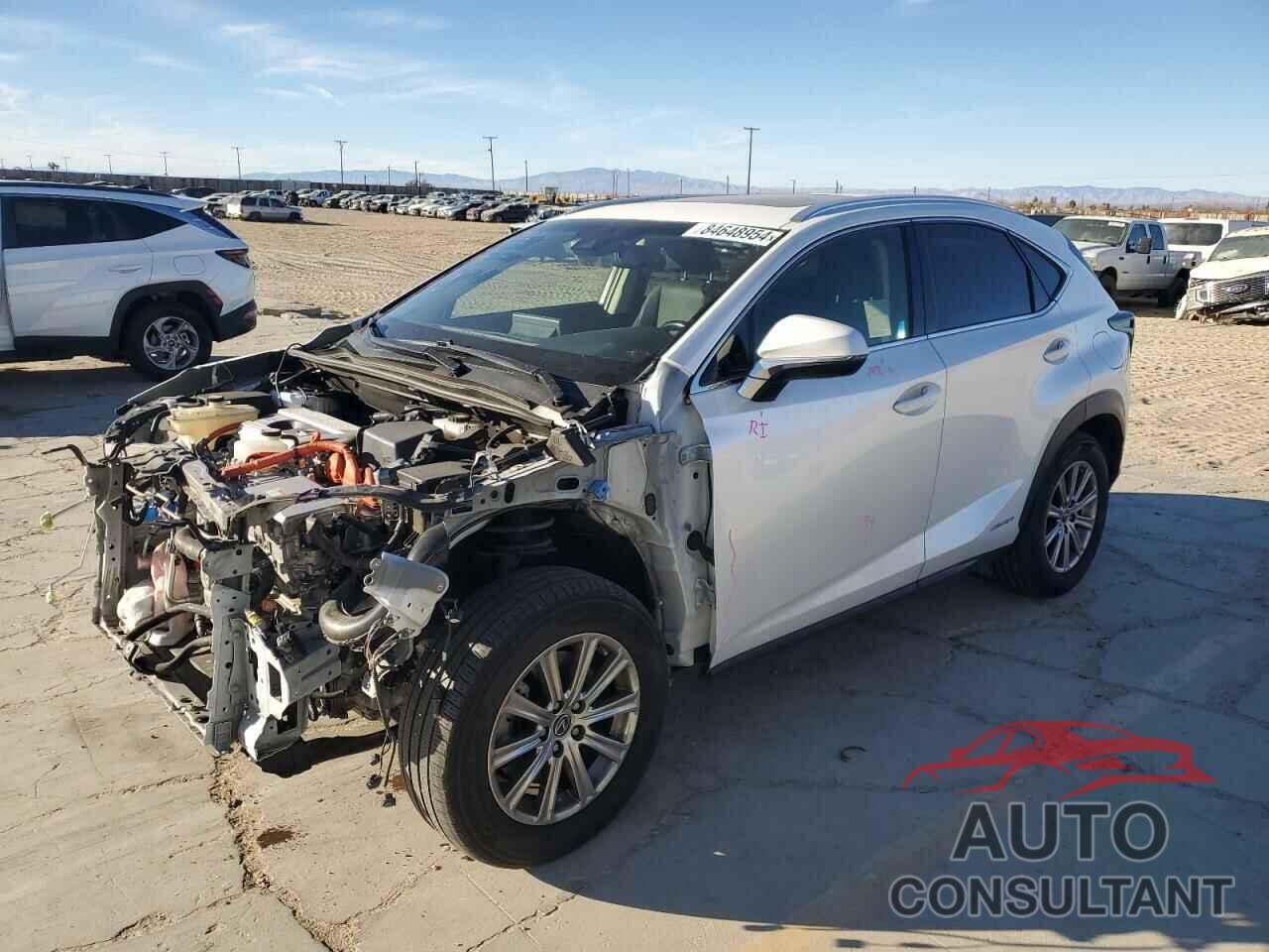 LEXUS NX 2019 - JTJBJRBZ3K2108266