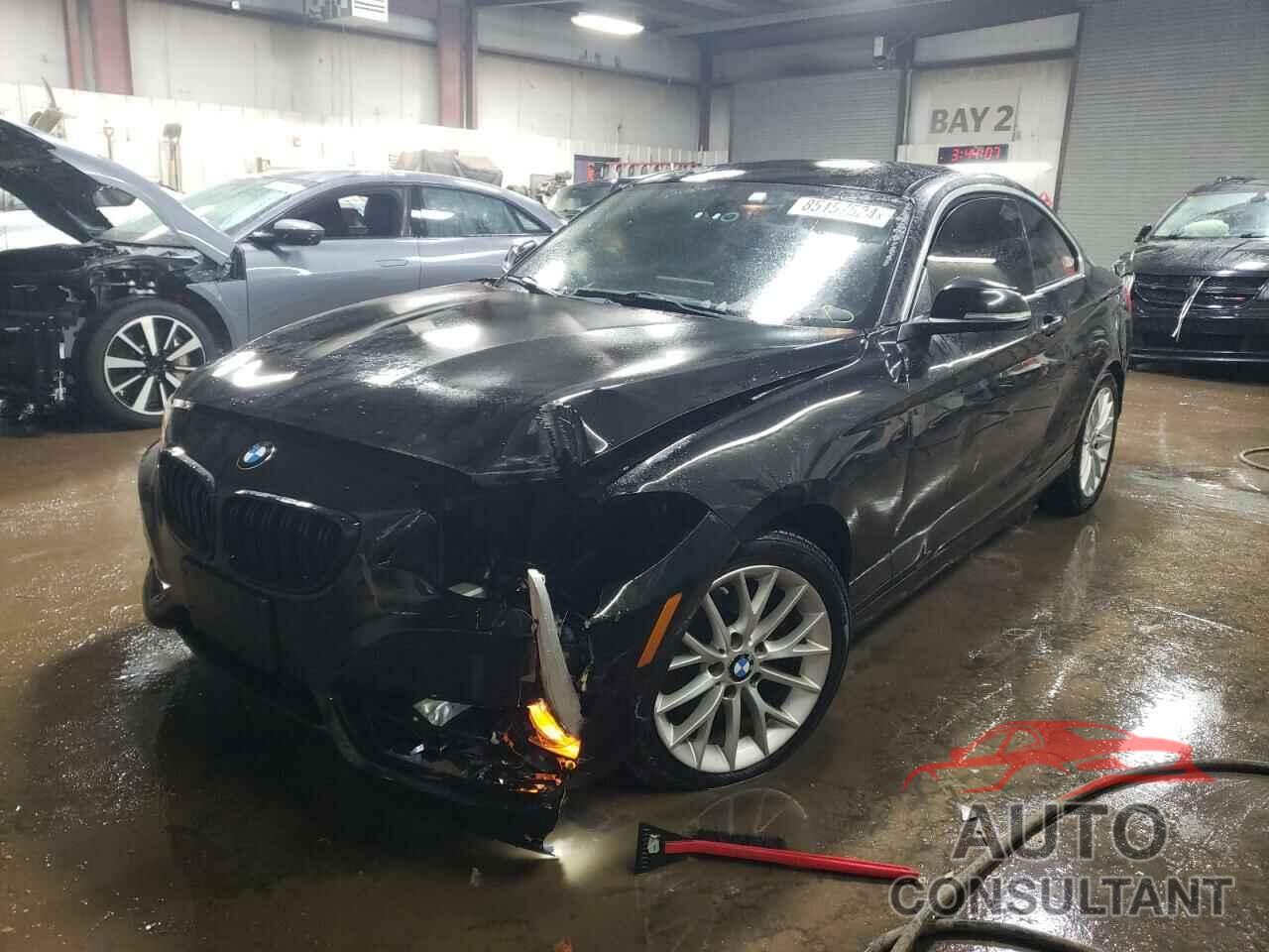 BMW 2 SERIES 2016 - WBA1G9C54GV599183