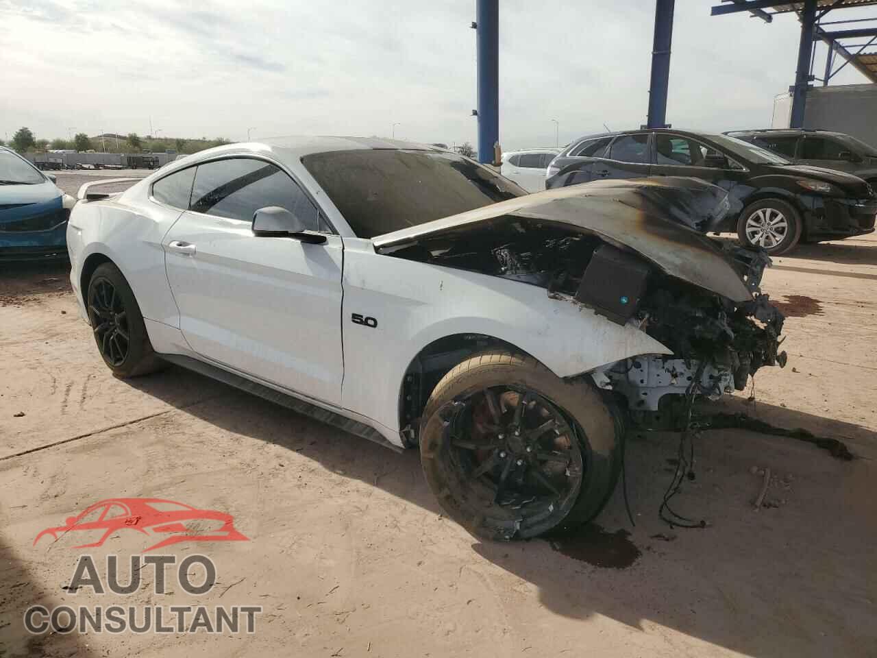 FORD MUSTANG 2019 - 1FA6P8CF8K5161325