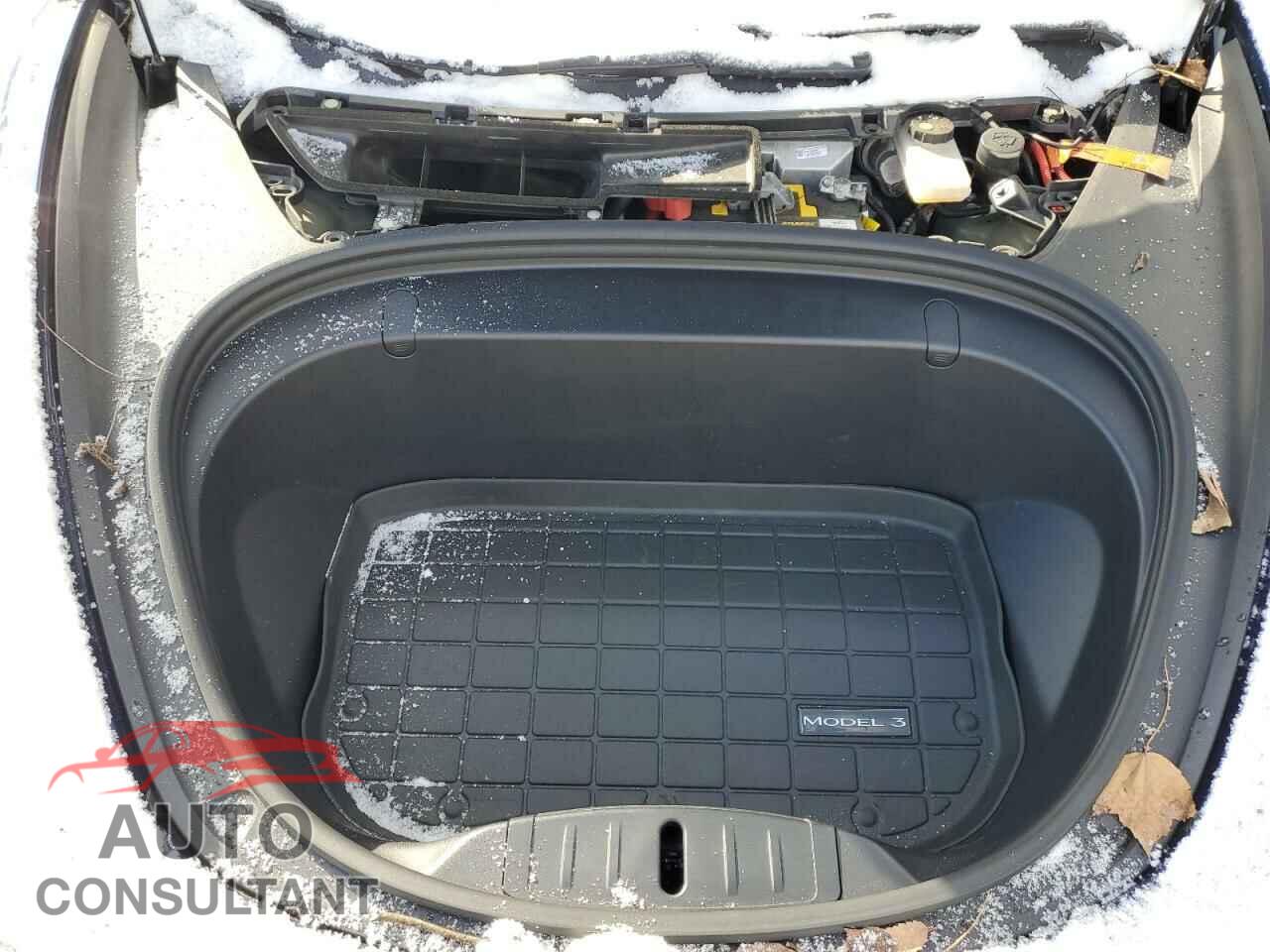 TESLA MODEL 3 2019 - 5YJ3E1EA5KF396601
