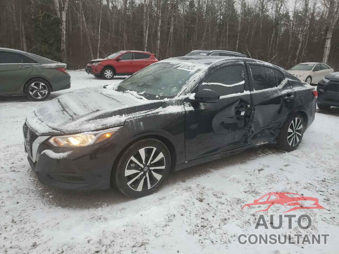 NISSAN SENTRA 2023 - 3N1AB8CV3PY252302