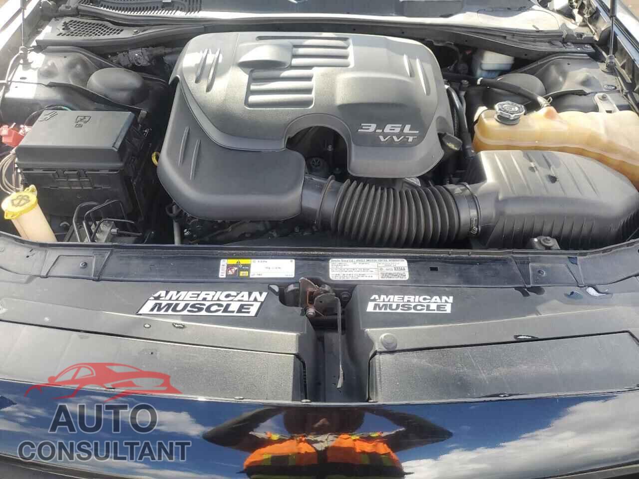 DODGE CHALLENGER 2013 - 2C3CDYAG1DH619935