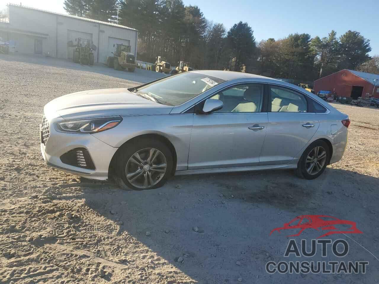 HYUNDAI SONATA 2019 - 5NPE34AF9KH783736