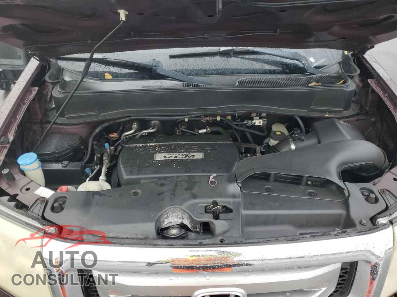 HONDA PILOT 2009 - 5FNYF48209B010671