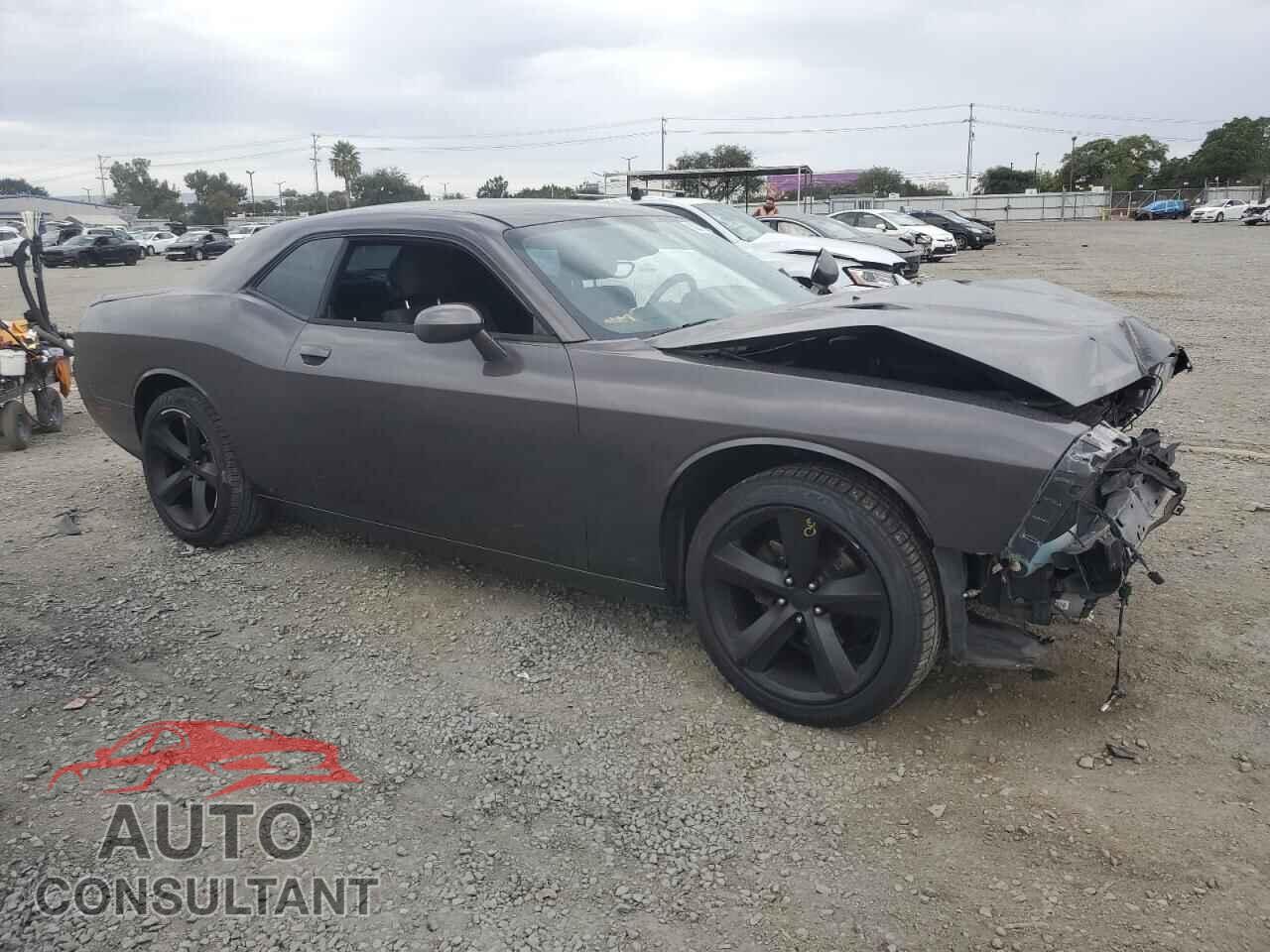 DODGE CHALLENGER 2013 - 2C3CDYAG2DH705013