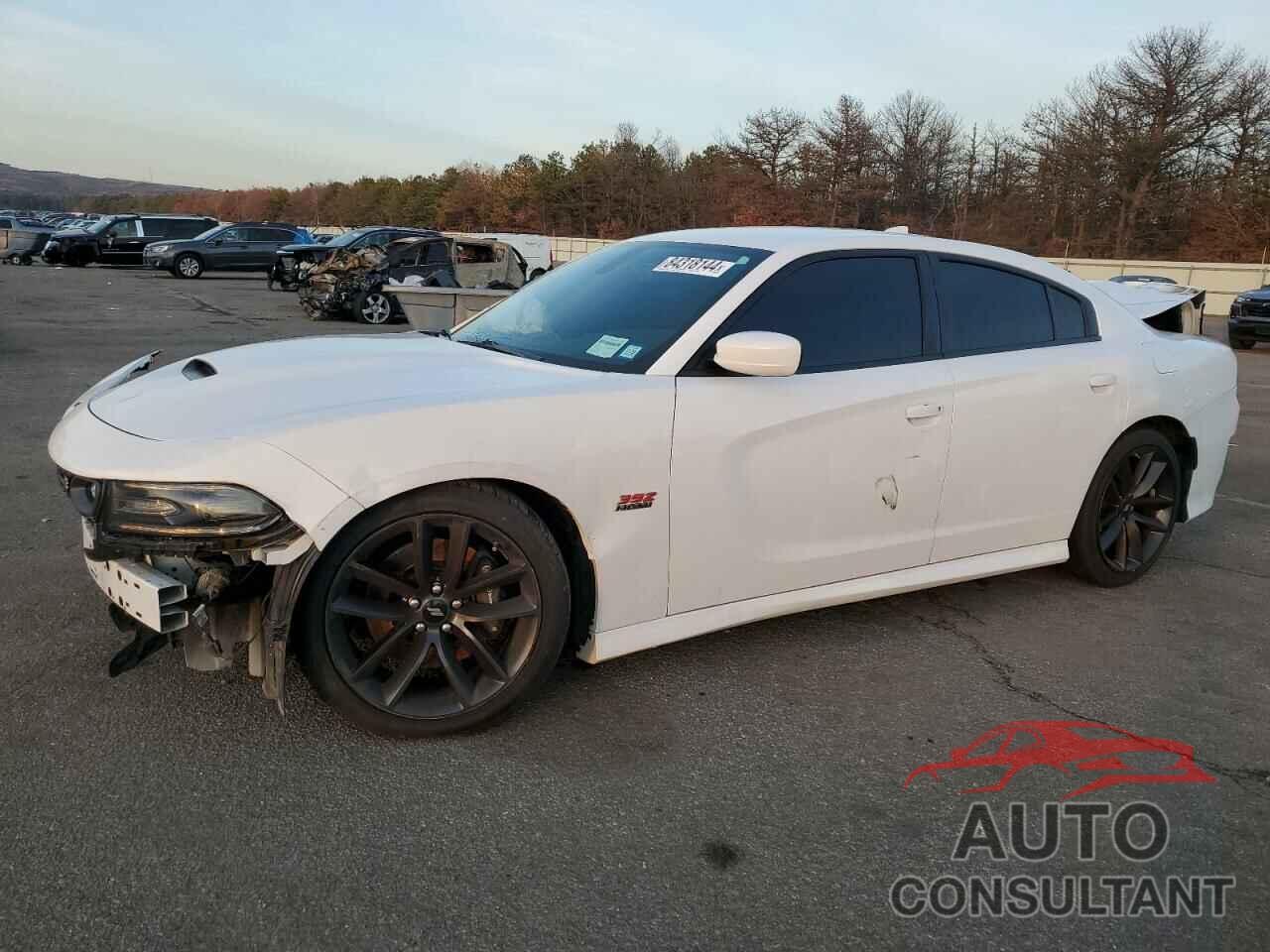 DODGE CHARGER 2019 - 2C3CDXGJ5KH630818