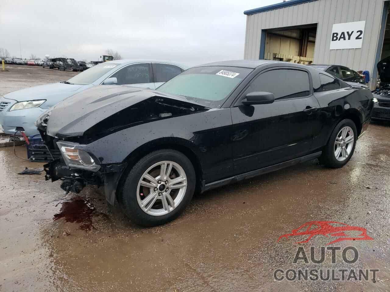 FORD ALL Models 2010 - 1ZVBP8ANXA5151894