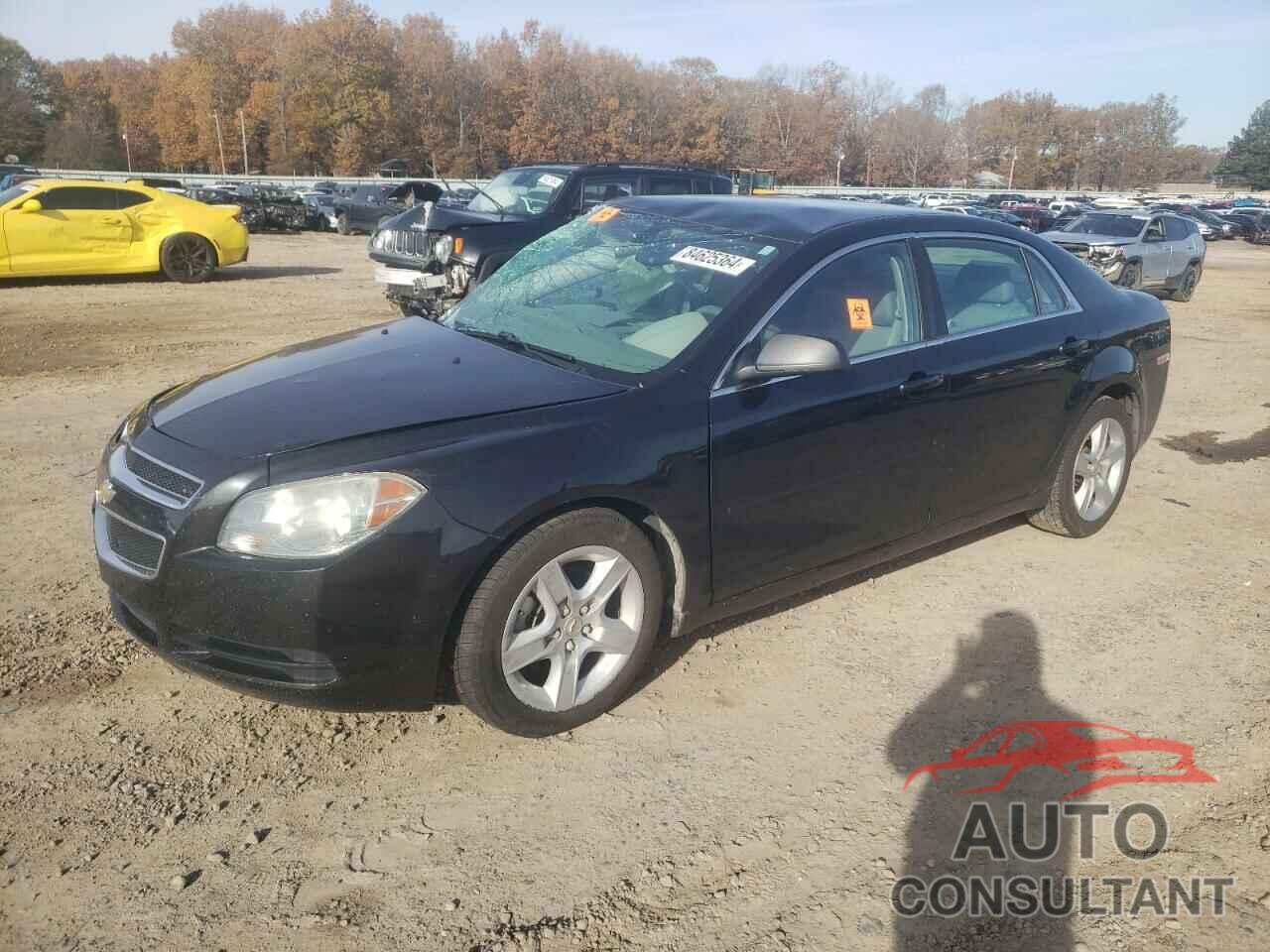 CHEVROLET MALIBU 2010 - 1G1ZB5EB6AF309651