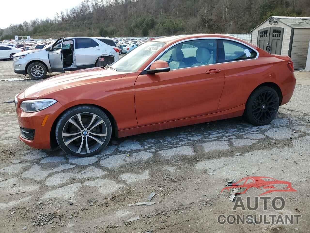 BMW 2 SERIES 2016 - WBA1G9C54GV599779