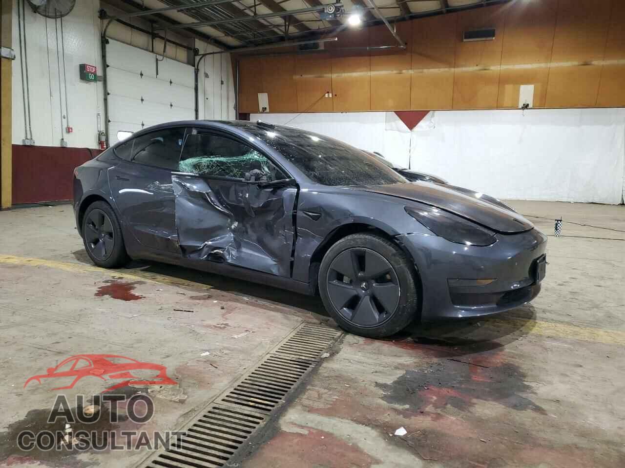 TESLA MODEL 3 2021 - 5YJ3E1EA3MF981048
