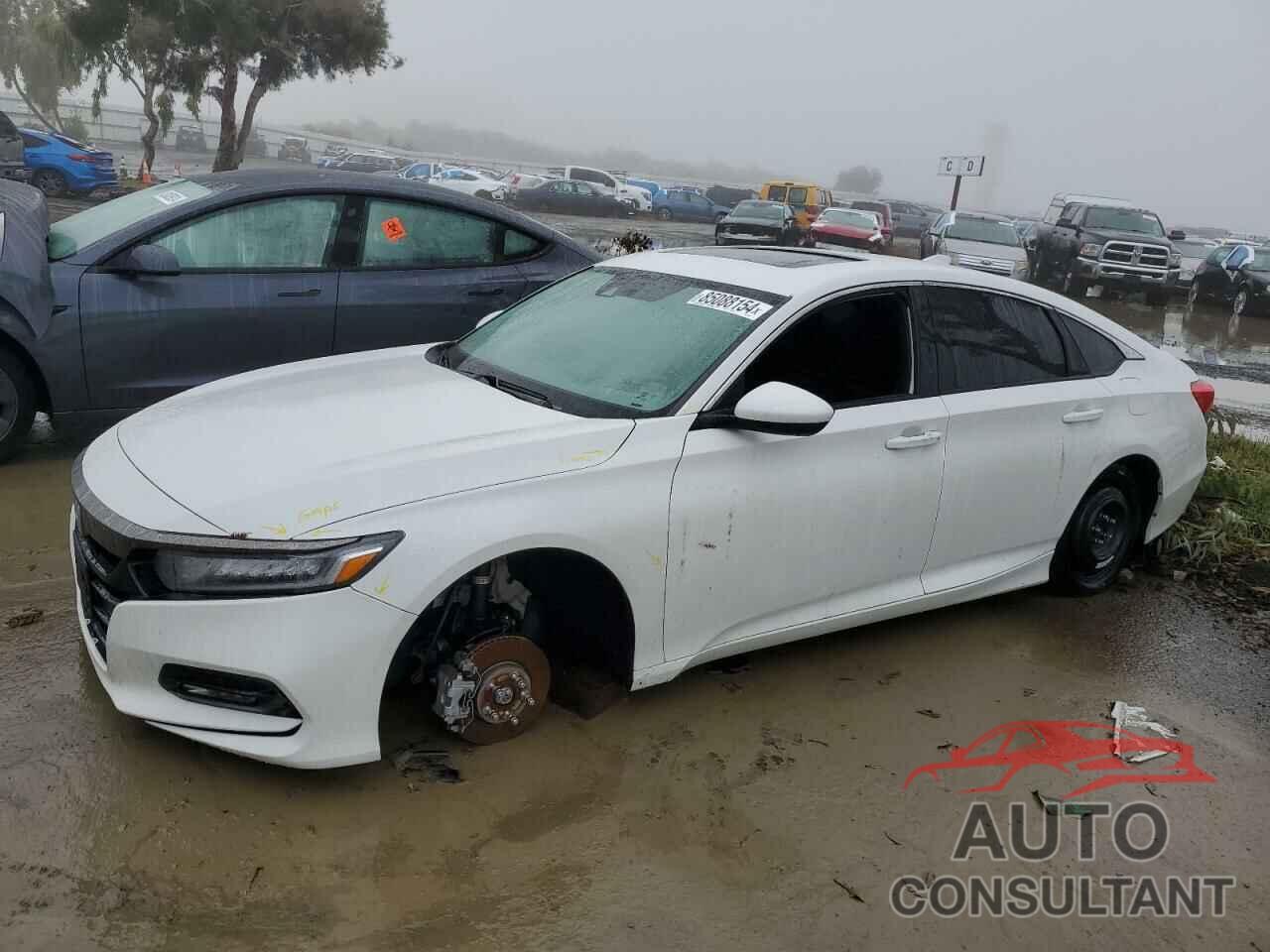 HONDA ACCORD 2019 - 1HGCV2F31KA004729