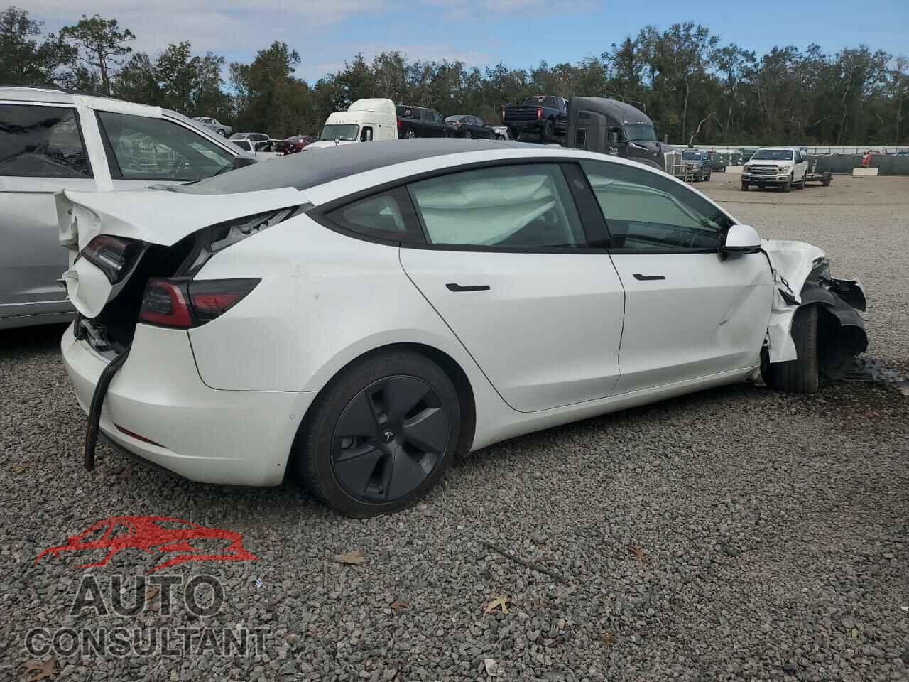 TESLA MODEL 3 2021 - 5YJ3E1EA8MF854361