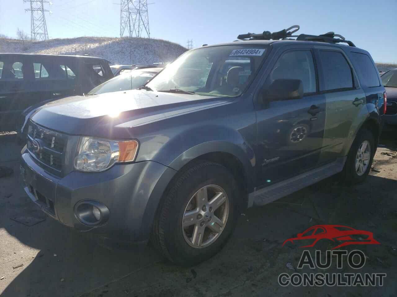 FORD ESCAPE 2010 - 1FMCU4K31AKC31166