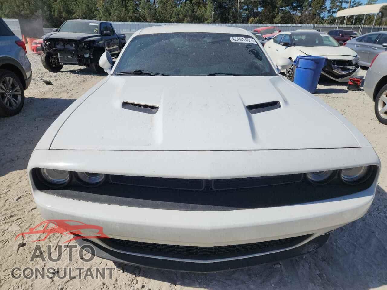DODGE CHALLENGER 2019 - 2C3CDZAG2KH503923
