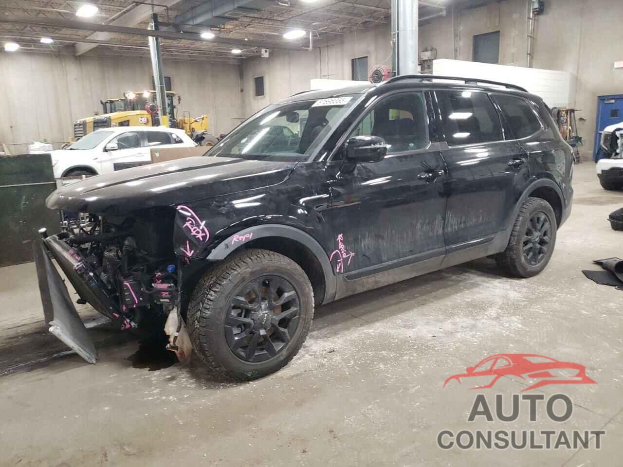 KIA TELLURIDE 2024 - 5XYP5DGC1RG471668