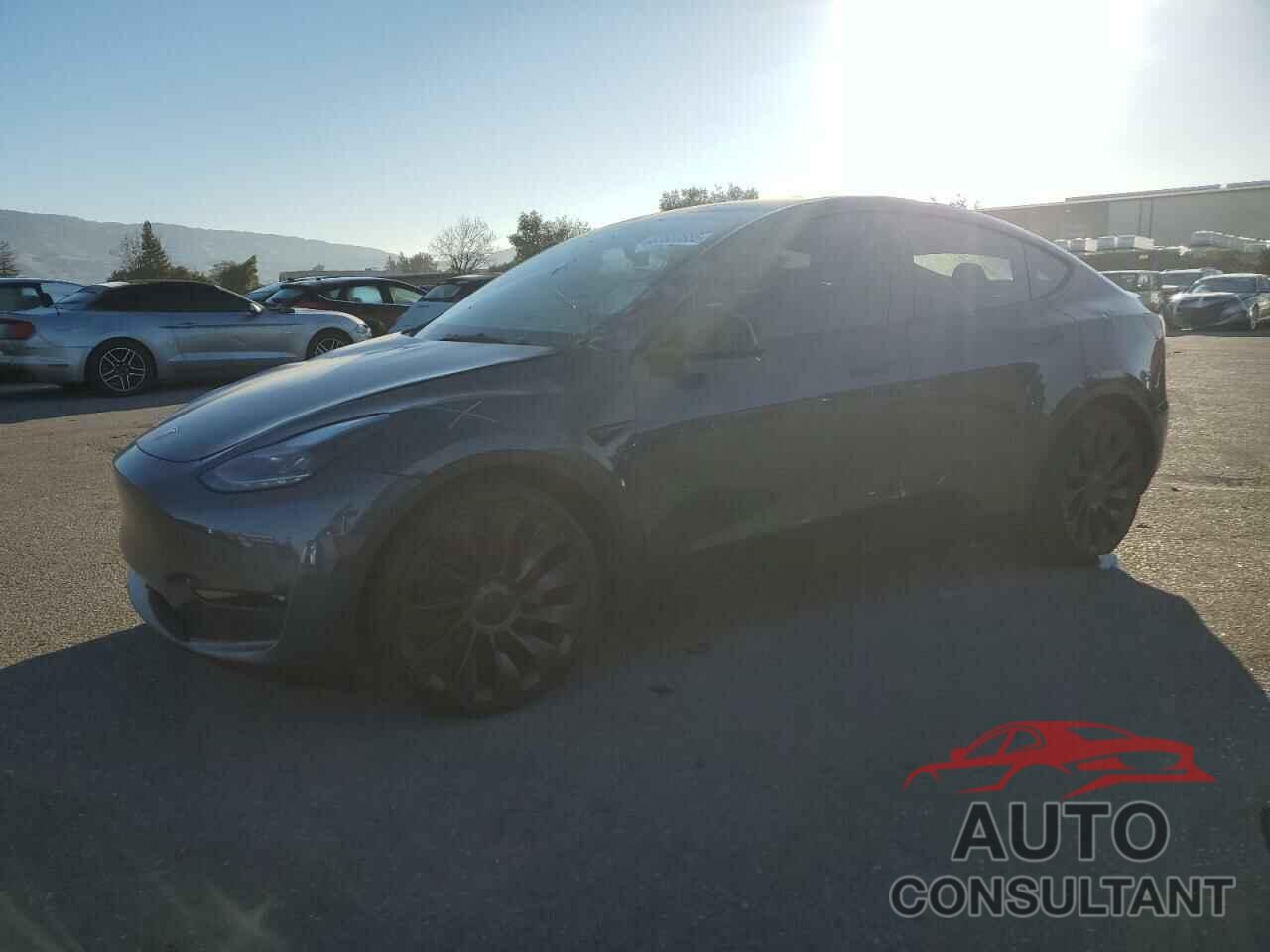 TESLA MODEL Y 2022 - 7SAYGDEF8NF359191