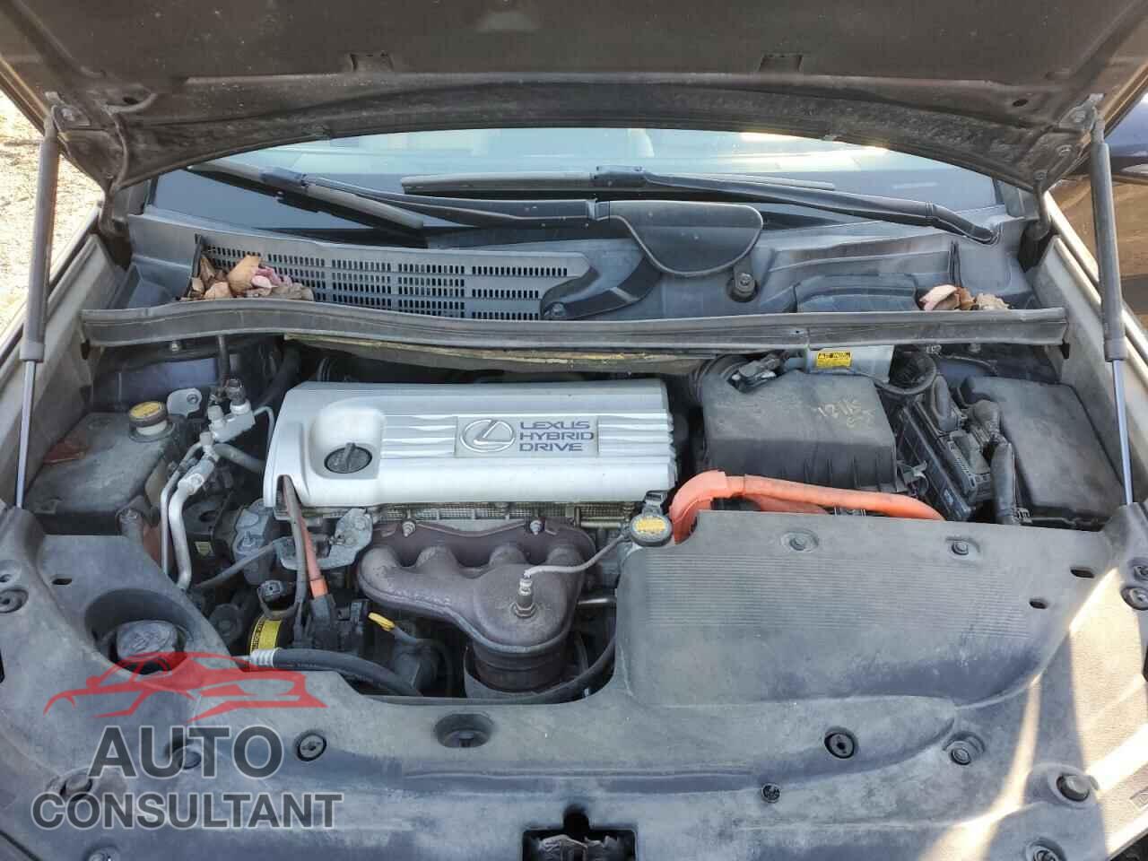 LEXUS HS 2010 - JTHBB1BA6A2020658