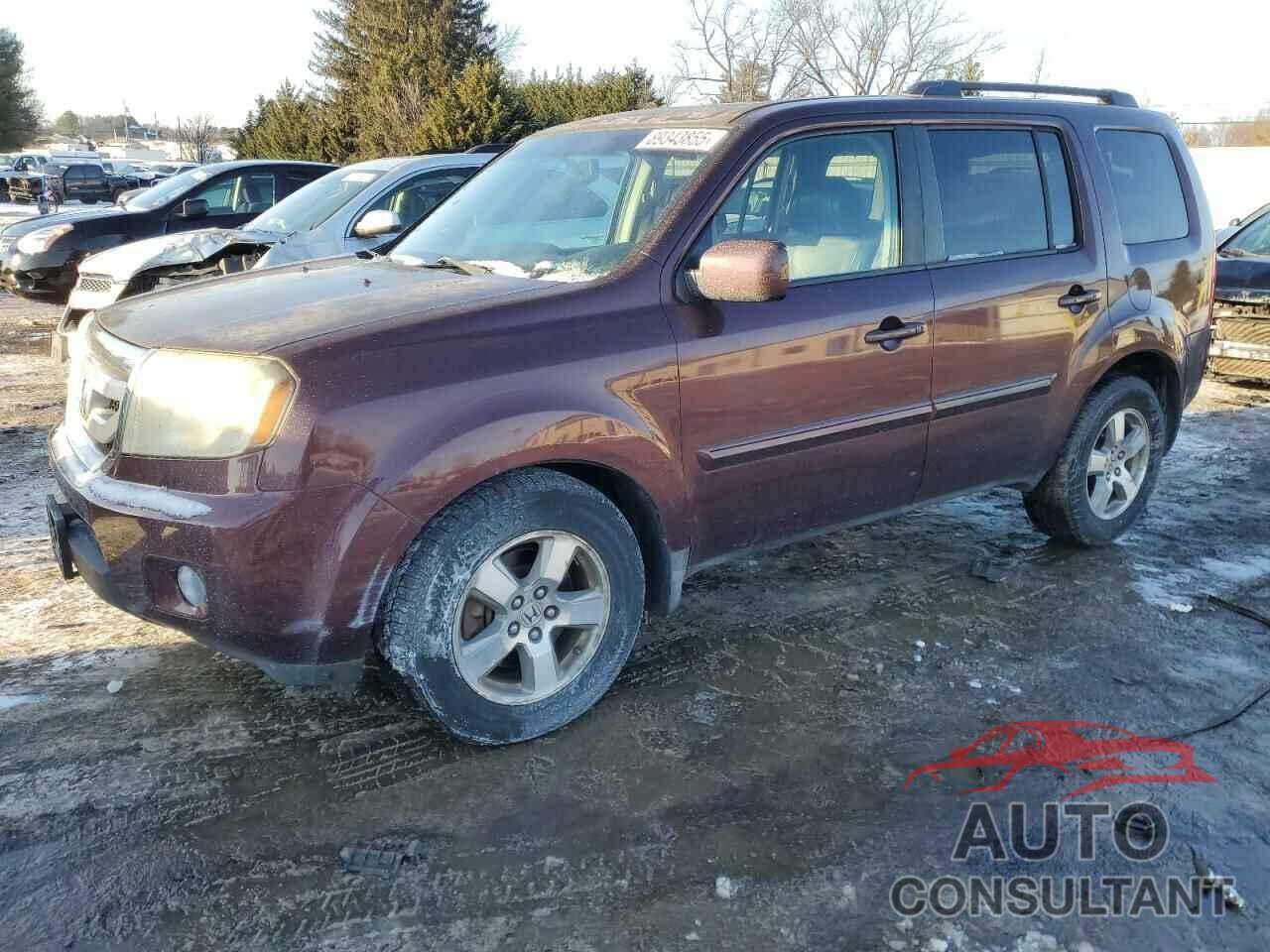 HONDA PILOT 2009 - 5FNYF48699B048936
