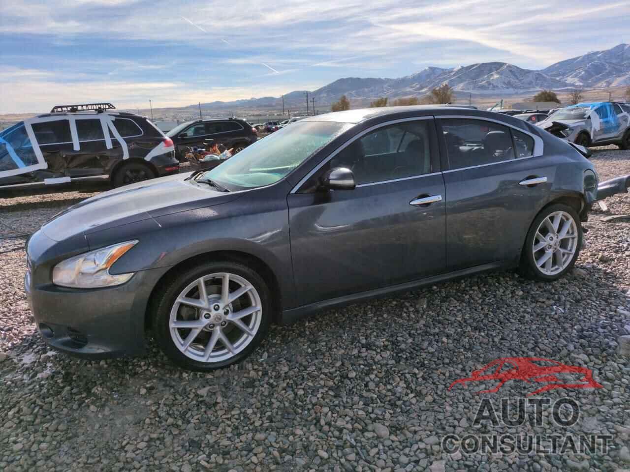 NISSAN MAXIMA 2009 - 1N4AA51E19C822137