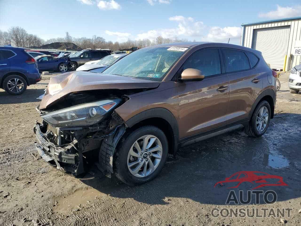 HYUNDAI TUCSON 2016 - KM8J23A47GU023856