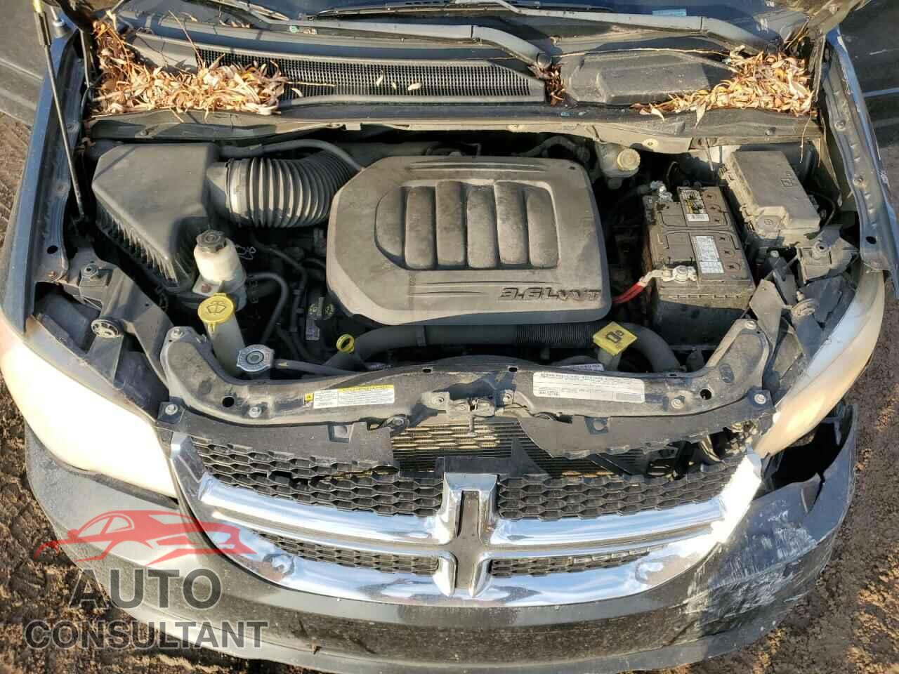 DODGE CARAVAN 2011 - 2D4RN3DG3BR626428