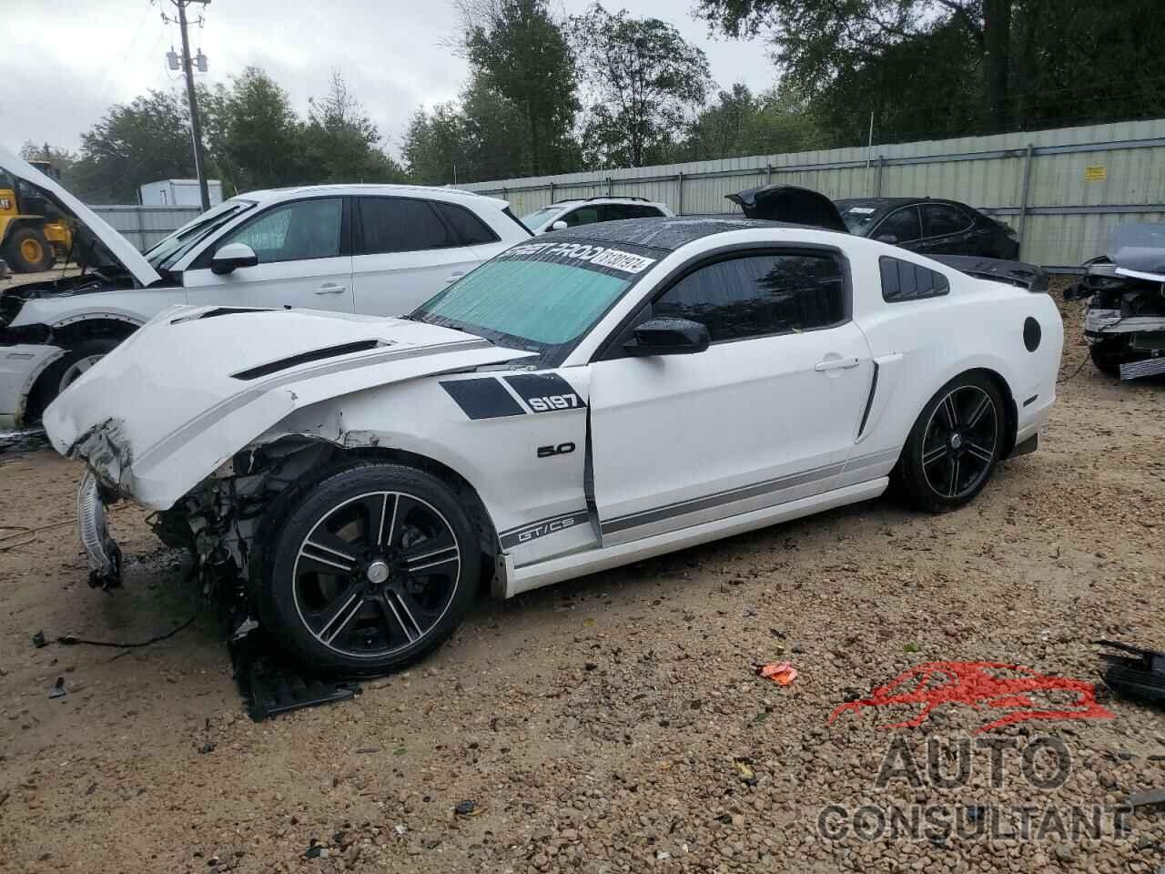 FORD MUSTANG 2013 - 1ZVBP8CF8D5230989