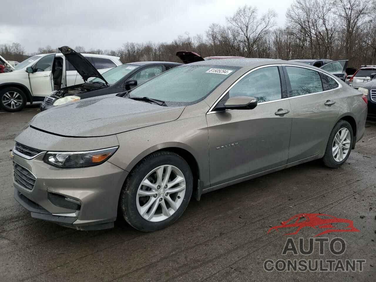 CHEVROLET MALIBU 2017 - 1G1ZE5ST6HF262944
